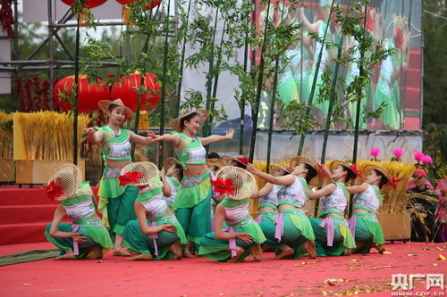 慶豐收 頌鄉(xiāng)村——寧夏多地同步啟動中國農民豐收節(jié)文藝盛典