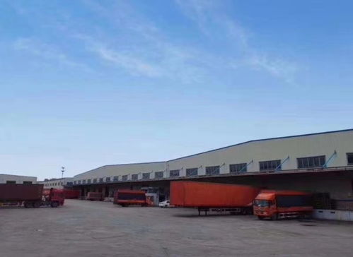 廣州華平貨代再擴增12000㎡的專業食品倉庫