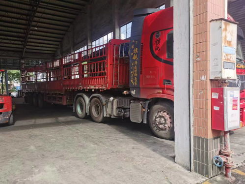 佛山運(yùn)輸?shù)椒谖骺h物流直達(dá)專線用心前行2025全 境 閃 運(yùn)保時(shí)效