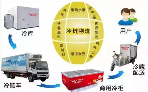 冷鏈物流 突破瓶頸、抓住機遇，推動普通貨運轉型升級